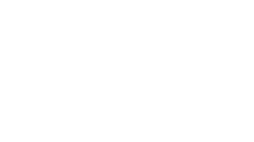 AMC MXV